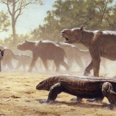 Diprotodon undertaking mass migration, while being observed by a giant lizard (Megalania) and giant grey kangaroos. Credit: Laurie Beirne